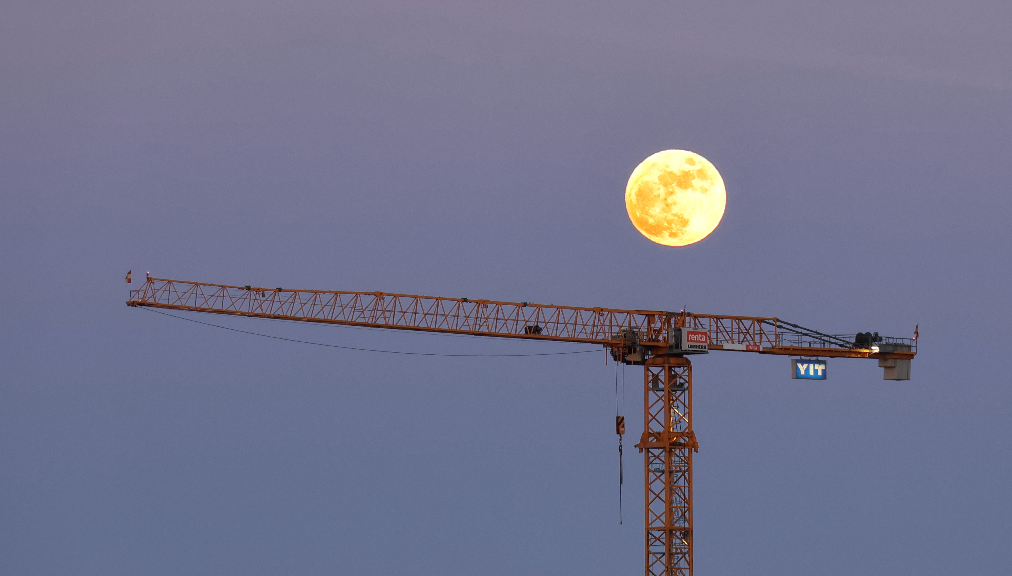 A picture of a crane